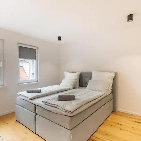 公寓 Modern Floor With Private Rooftop Terrace 塞拉耶佛